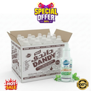 منظف فلاش داندي برائحة النعناع – 1 كرتون